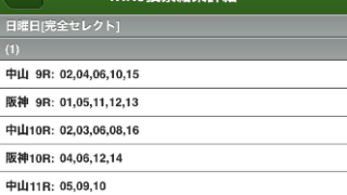 有馬記念ウィンファイブ